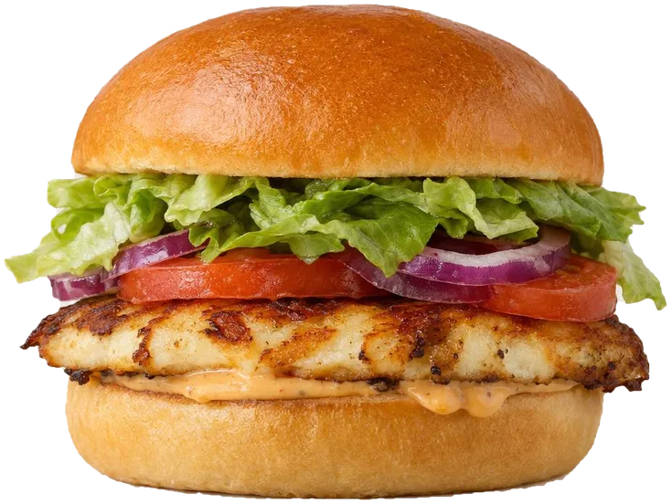 Johns Veggie Burger mit gegrilltem Halloumi-Patty, Salat und Tomate